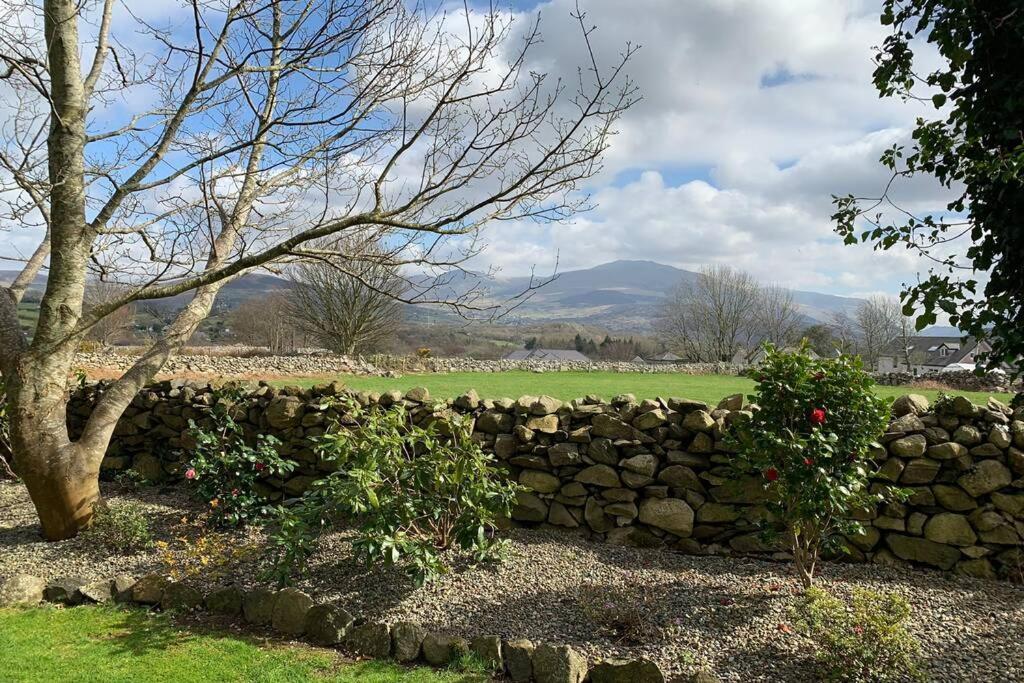 Snowdonia Cabin 카나번 외부 사진