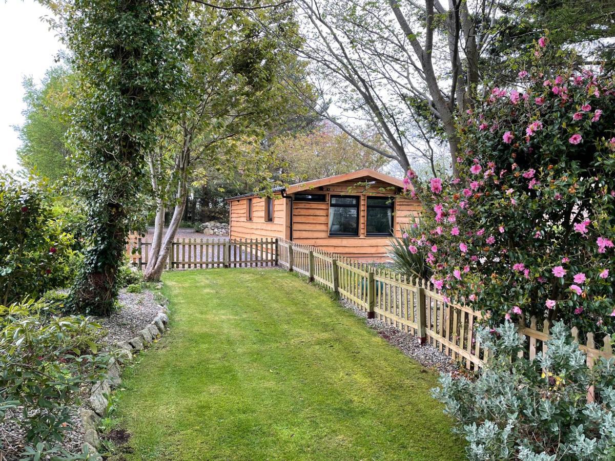 Snowdonia Cabin 카나번 외부 사진