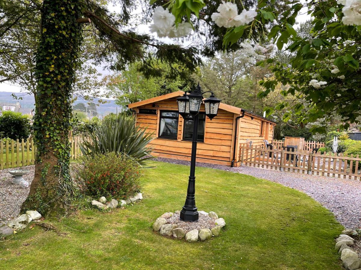 Snowdonia Cabin 카나번 외부 사진