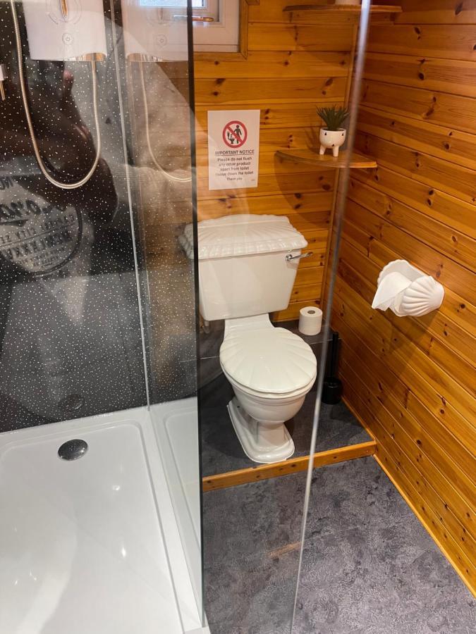 Snowdonia Cabin 카나번 외부 사진